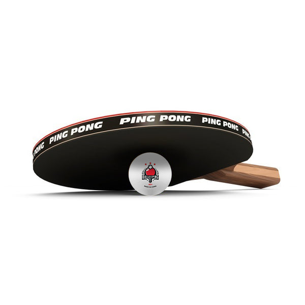raquette de ping pong avec une balle de marque balles2ping